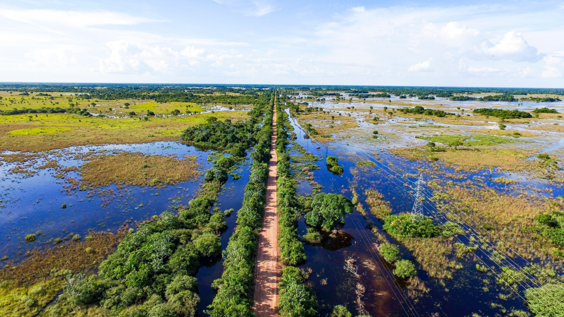 Amazonas und Pantanal Reise